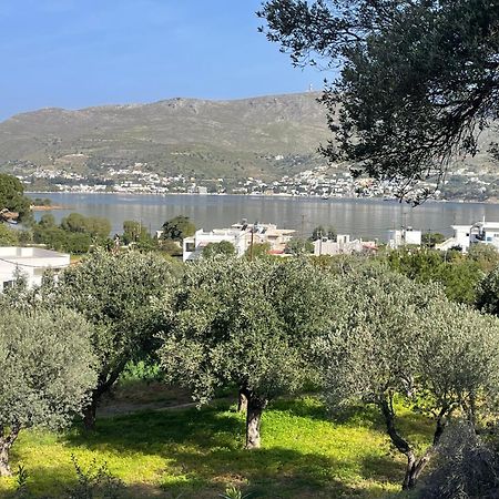 The Velanidies - Οι Βελανιδιές Agia Marina  Exteriér fotografie
