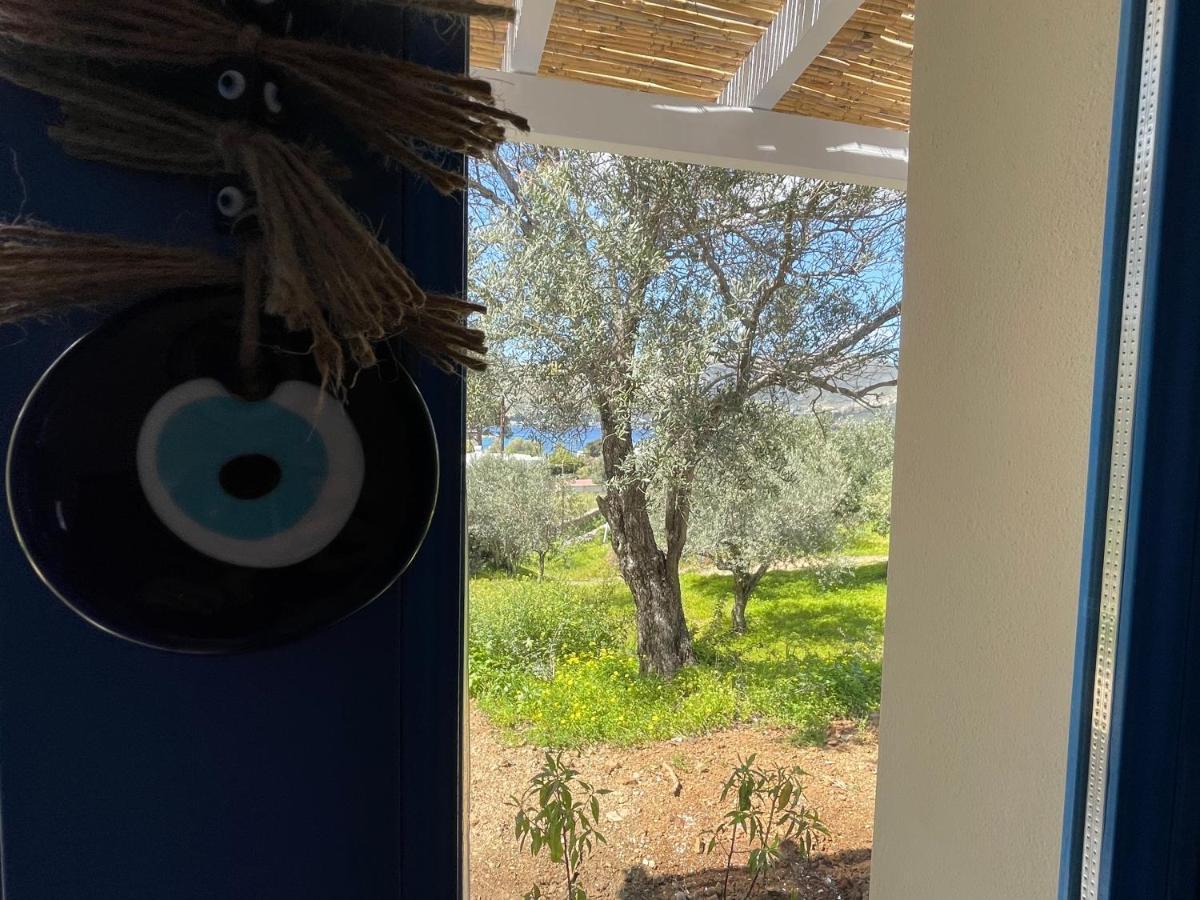 The Velanidies - Οι Βελανιδιές Agia Marina  Exteriér fotografie