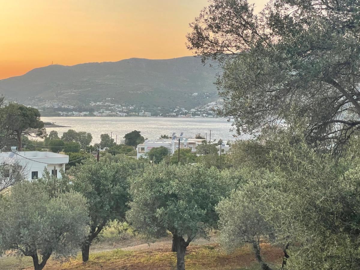 The Velanidies - Οι Βελανιδιές Agia Marina  Exteriér fotografie